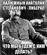 калюжный анатолий степанович - либерал что мы будем с ним делать?