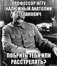 профессор нгту калюжный анатолий степанович побрить тебя или расстрелять?