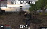 лови маслину сука