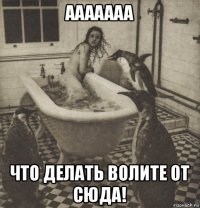 ааааааа что делать волите от сюда!