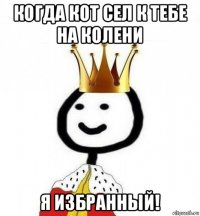 когда кот сел к тебе на колени я избранный!