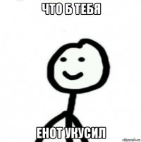 что б тебя енот укусил