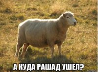  а куда рашад ушел?