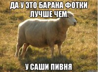 да у это барана фотки лучше чем у саши пивня