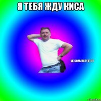 я тебя жду киса 