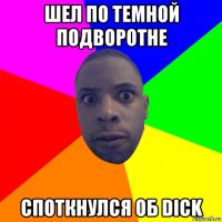 шел по темной подворотне споткнулся об dick