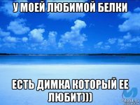 у моей любимой белки есть димка который ее любит)))