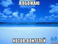 я обожаю котов-воителей