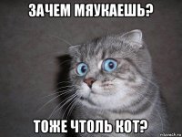 зачем мяукаешь? тоже чтоль кот?