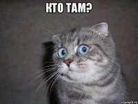 кто там? 