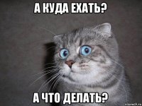 а куда ехать? а что делать?