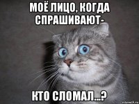 моё лицо, когда спрашивают- кто сломал...?