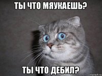 ты что мяукаешь? ты что дебил?