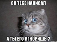 он тебе написал а ты его игноришь ?