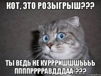 кот, это розыгрыш??? ты ведь не куррришшшьььь ппппрррравдддаа*???