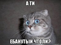 а ти ебанутьій чтоли?