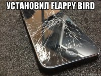 установил flappy bird 