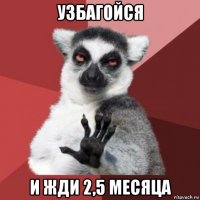 узбагойся и жди 2,5 месяца