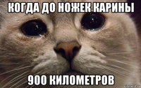 когда до ножек карины 900 километров