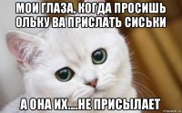 мои глаза, когда просишь ольку ва прислать сиськи а она их....не присылает