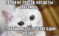 талка не. грусти, когда ты грустишь.. с тобой вместе грустит один котик...