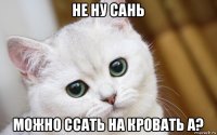 не ну сань можно ссать на кровать а?