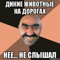 дикие животные на дорогах нее... не слышал