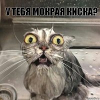 У Тебя мокрая Киска? 