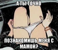 а ты точно познакомишь меня с мамой?