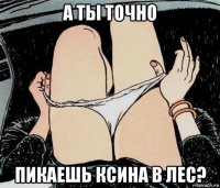 а ты точно пикаешь ксина в лес?