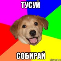 тусуй собирай