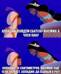 Алладин: пойдём ебатся? Жасмин: А член как? Алладин: 15 сантиметров. Жасмин: ещё 15 не хватает. Алладин: да ёбаный в рот!