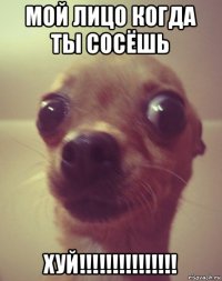 мой лицо когда ты сосёшь хуй!!!!!!!!!!!!!!!