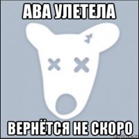 ава улетела вернётся не скоро