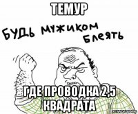 темур где проводка 2,5 квадрата