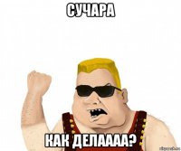 сучара как делаааа?