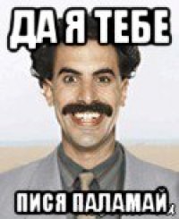 да я тебе пися паламай