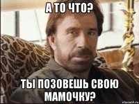 а то что? ты позовешь свою мамочку?