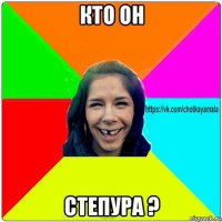 кто он степура ?