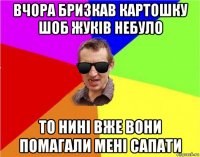 вчора бризкав картошку шоб жуків небуло то нині вже вони помагали мені сапати