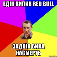 едік випив red bull задоїв бика насмерть