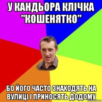 у кандьора клічка "кошенятко" бо його часто знаходять на вулиці і приносять додому