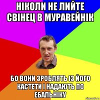 ніколи не лийте свінец в муравейнік бо вони зроблять із його кастети і надають по ебальніку