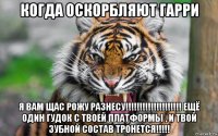 когда оскорбляют гарри я вам щас рожу разнесу!!!!!!!!!!!!!!!!!!!! ещё один гудок с твоей платформы , и твой зубной состав тронется!!!!!