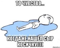 то чувство... когда не нашел сыр косичку((((