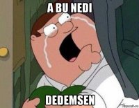 a bu nedi dedemsen