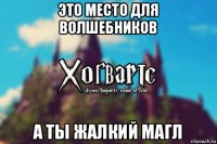 это место для волшебников а ты жалкий магл