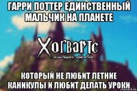 гарри поттер единственный мальчик на планете который не любит летние каникулы и любит делать уроки