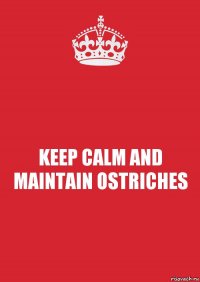 KEEP CALM AND MAINTAIN OSTRICHES