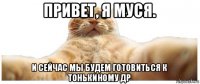 привет, я муся. и сейчас мы будем готовиться к тонькиному др